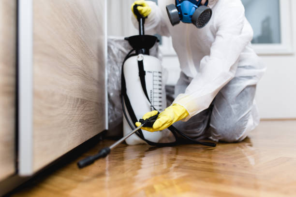 Best Local Pest Control Services  in Hornsby Bend, TX