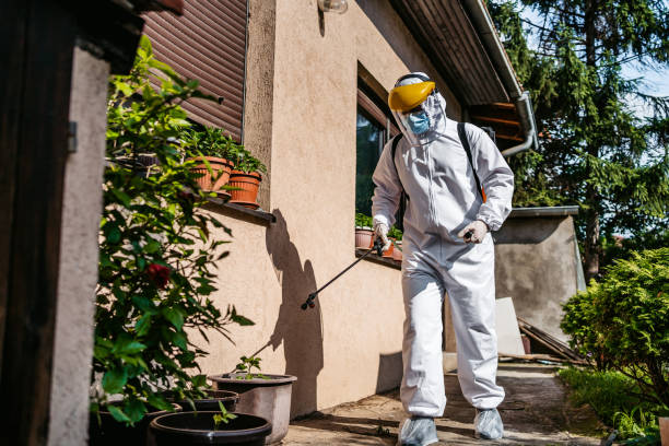 Pest Control for Restaurants in Hornsby Bend, TX