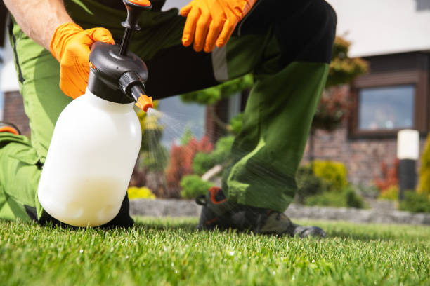 Best Exterminator Services  in Hornsby Bend, TX