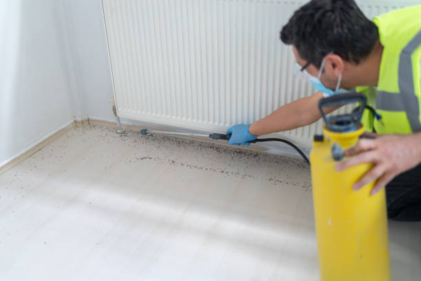 Best Cockroach Control Services  in Hornsby Bend, TX
