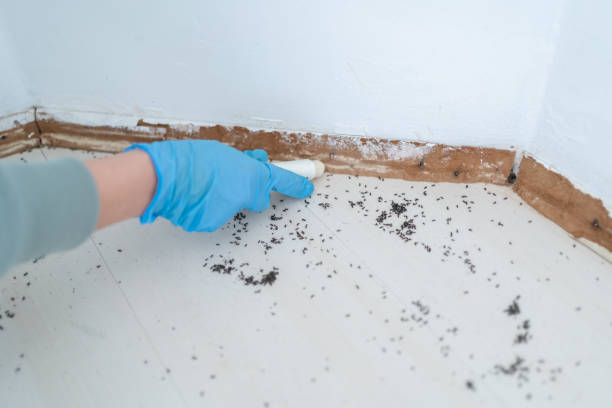 Best Wildlife Control Services  in Hornsby Bend, TX