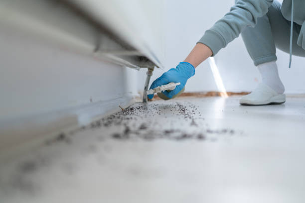 Best Wildlife Control Services  in Hornsby Bend, TX